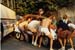dreyer_anke_a3